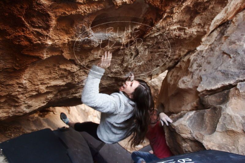 Bouldering in Hueco Tanks on 01/21/2019 with Blue Lizard Climbing and Yoga

Filename: SRM_20190121_1306531.jpg
Aperture: f/3.5
Shutter Speed: 1/200
Body: Canon EOS-1D Mark II
Lens: Canon EF 16-35mm f/2.8 L