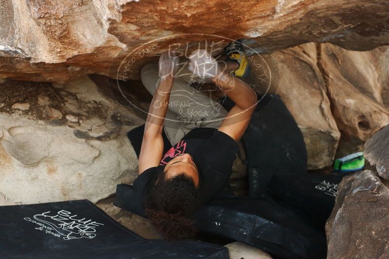 Bouldering in Hueco Tanks on 01/21/2019 with Blue Lizard Climbing and Yoga

Filename: SRM_20190121_1348370.jpg
Aperture: f/5.0
Shutter Speed: 1/250
Body: Canon EOS-1D Mark II
Lens: Canon EF 50mm f/1.8 II