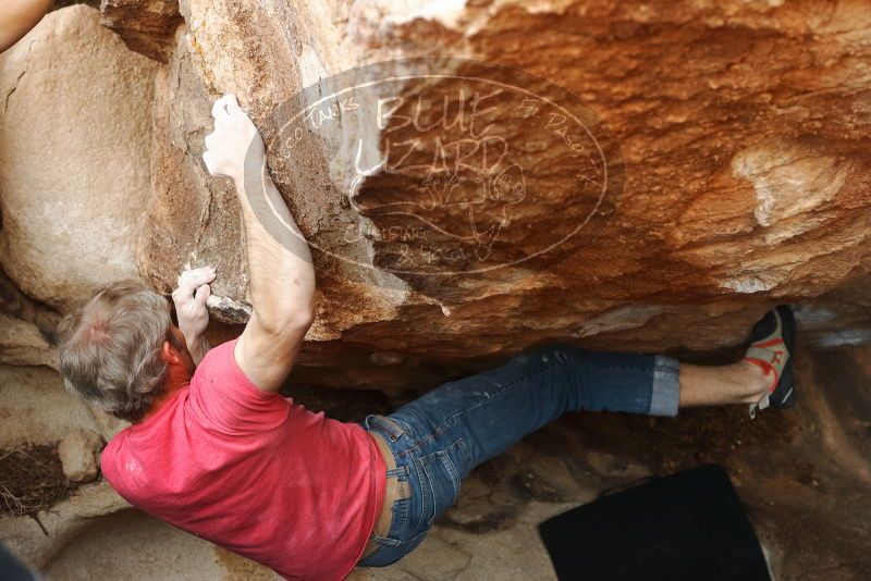 Bouldering in Hueco Tanks on 01/21/2019 with Blue Lizard Climbing and Yoga

Filename: SRM_20190121_1352320.jpg
Aperture: f/5.0
Shutter Speed: 1/250
Body: Canon EOS-1D Mark II
Lens: Canon EF 50mm f/1.8 II