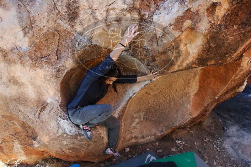 Bouldering in Hueco Tanks on 01/26/2019 with Blue Lizard Climbing and Yoga

Filename: SRM_20190126_1118250.jpg
Aperture: f/5.0
Shutter Speed: 1/250
Body: Canon EOS-1D Mark II
Lens: Canon EF 16-35mm f/2.8 L