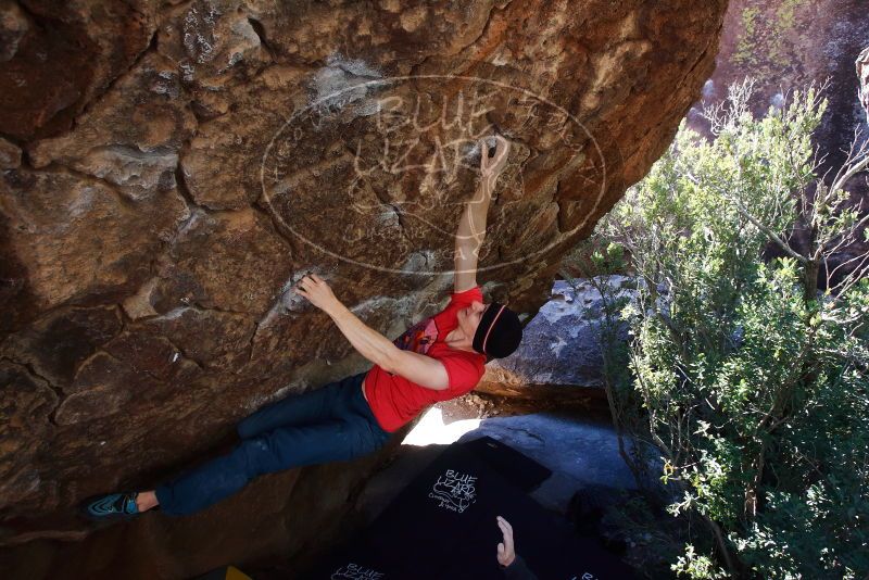 Bouldering in Hueco Tanks on 01/26/2019 with Blue Lizard Climbing and Yoga

Filename: SRM_20190126_1208090.jpg
Aperture: f/5.6
Shutter Speed: 1/250
Body: Canon EOS-1D Mark II
Lens: Canon EF 16-35mm f/2.8 L