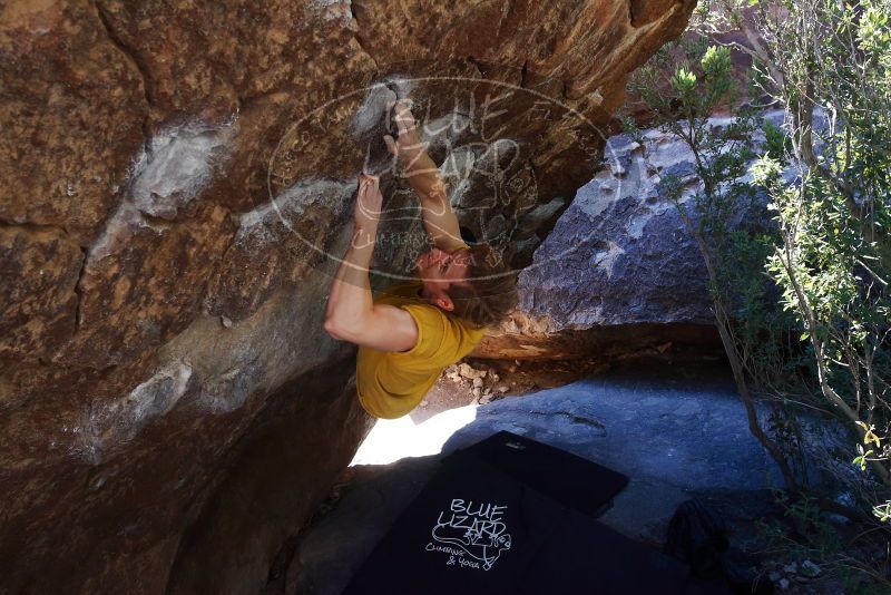 Bouldering in Hueco Tanks on 01/26/2019 with Blue Lizard Climbing and Yoga

Filename: SRM_20190126_1210070.jpg
Aperture: f/5.0
Shutter Speed: 1/250
Body: Canon EOS-1D Mark II
Lens: Canon EF 16-35mm f/2.8 L