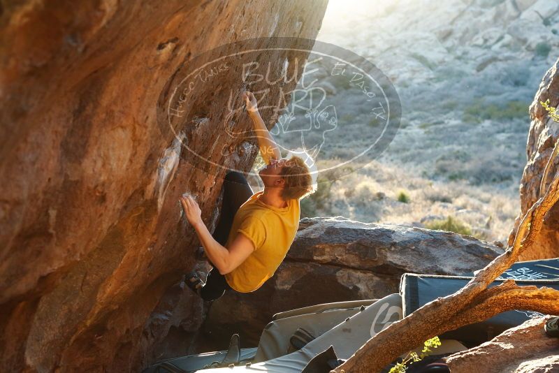 Bouldering in Hueco Tanks on 01/26/2019 with Blue Lizard Climbing and Yoga

Filename: SRM_20190126_1812130.jpg
Aperture: f/4.0
Shutter Speed: 1/250
Body: Canon EOS-1D Mark II
Lens: Canon EF 50mm f/1.8 II