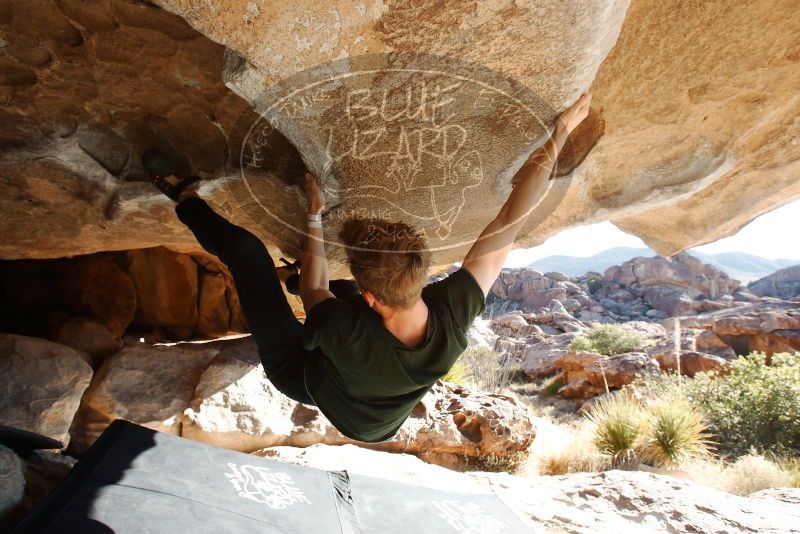 Bouldering in Hueco Tanks on 01/27/2019 with Blue Lizard Climbing and Yoga

Filename: SRM_20190127_1011180.jpg
Aperture: f/6.3
Shutter Speed: 1/250
Body: Canon EOS-1D Mark II
Lens: Canon EF 16-35mm f/2.8 L