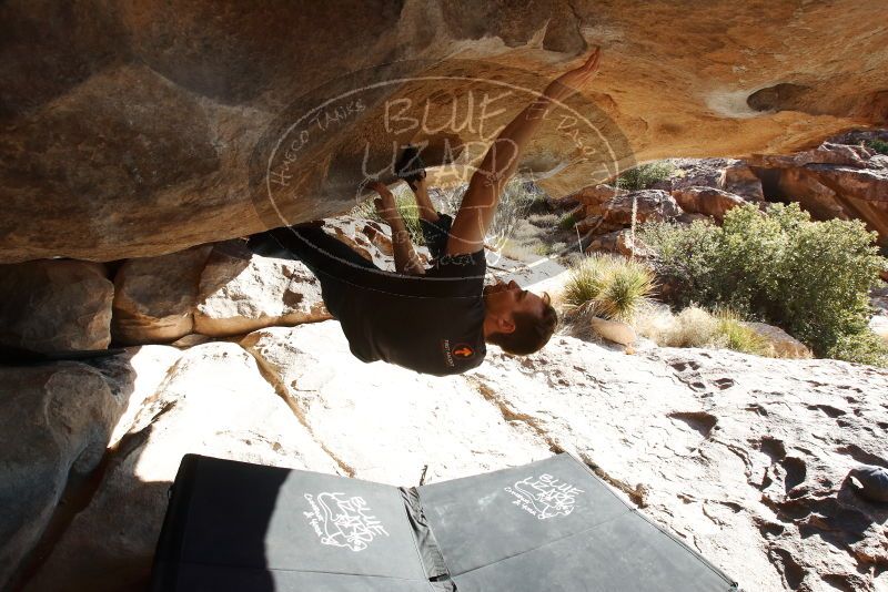 Bouldering in Hueco Tanks on 01/27/2019 with Blue Lizard Climbing and Yoga

Filename: SRM_20190127_1019320.jpg
Aperture: f/9.0
Shutter Speed: 1/250
Body: Canon EOS-1D Mark II
Lens: Canon EF 16-35mm f/2.8 L