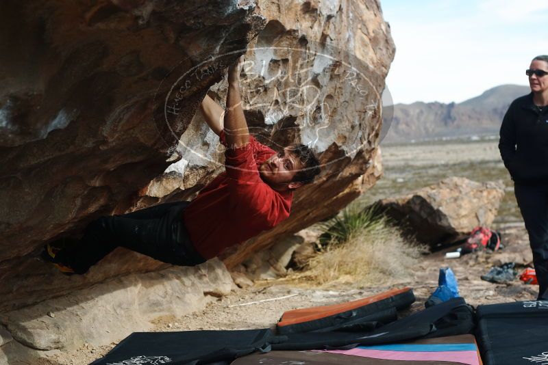 Bouldering in Hueco Tanks on 02/03/2019 with Blue Lizard Climbing and Yoga

Filename: SRM_20190203_1124360.jpg
Aperture: f/4.0
Shutter Speed: 1/500
Body: Canon EOS-1D Mark II
Lens: Canon EF 50mm f/1.8 II