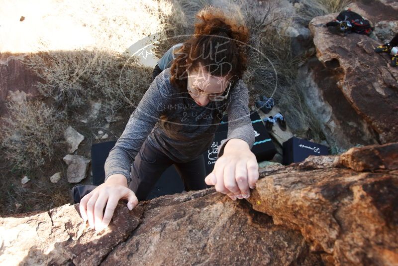 Bouldering in Hueco Tanks on 02/03/2019 with Blue Lizard Climbing and Yoga

Filename: SRM_20190203_1235310.jpg
Aperture: f/5.6
Shutter Speed: 1/320
Body: Canon EOS-1D Mark II
Lens: Canon EF 16-35mm f/2.8 L