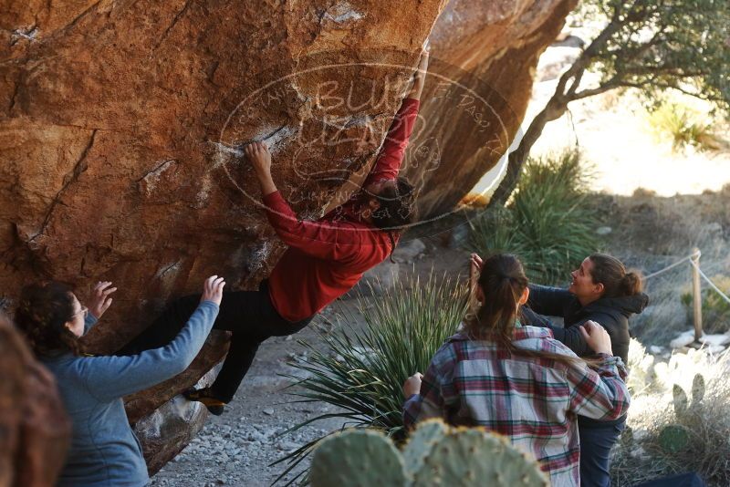 Bouldering in Hueco Tanks on 02/03/2019 with Blue Lizard Climbing and Yoga

Filename: SRM_20190203_1255180.jpg
Aperture: f/3.5
Shutter Speed: 1/250
Body: Canon EOS-1D Mark II
Lens: Canon EF 50mm f/1.8 II