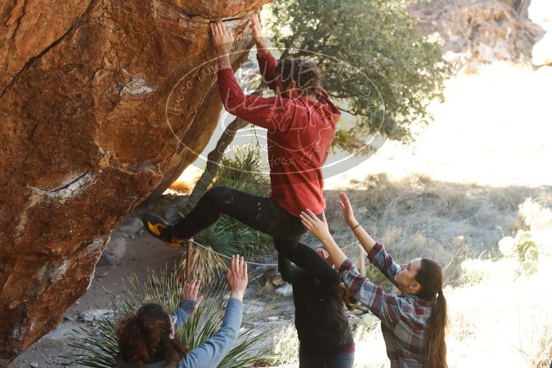 Bouldering in Hueco Tanks on 02/03/2019 with Blue Lizard Climbing and Yoga

Filename: SRM_20190203_1330130.jpg
Aperture: f/4.0
Shutter Speed: 1/250
Body: Canon EOS-1D Mark II
Lens: Canon EF 50mm f/1.8 II