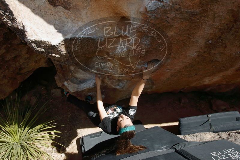 Bouldering in Hueco Tanks on 02/03/2019 with Blue Lizard Climbing and Yoga

Filename: SRM_20190203_1429260.jpg
Aperture: f/5.6
Shutter Speed: 1/250
Body: Canon EOS-1D Mark II
Lens: Canon EF 16-35mm f/2.8 L