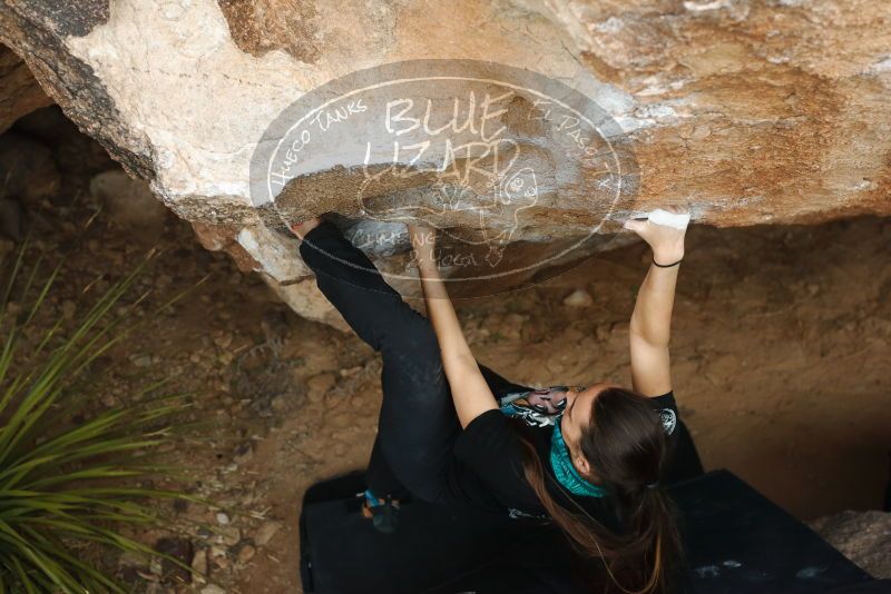 Bouldering in Hueco Tanks on 02/03/2019 with Blue Lizard Climbing and Yoga

Filename: SRM_20190203_1502310.jpg
Aperture: f/4.0
Shutter Speed: 1/500
Body: Canon EOS-1D Mark II
Lens: Canon EF 50mm f/1.8 II