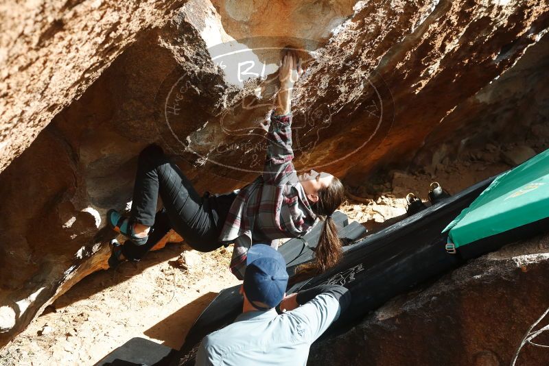 Bouldering in Hueco Tanks on 02/03/2019 with Blue Lizard Climbing and Yoga

Filename: SRM_20190203_1526130.jpg
Aperture: f/5.6
Shutter Speed: 1/1000
Body: Canon EOS-1D Mark II
Lens: Canon EF 50mm f/1.8 II