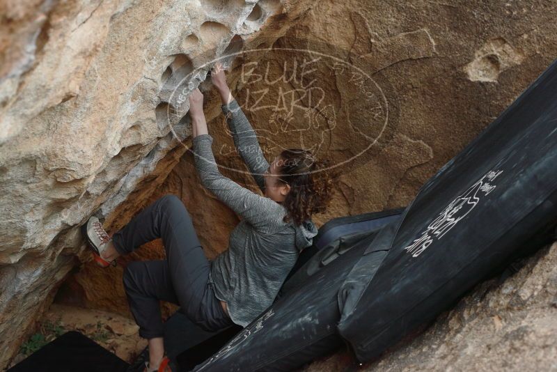 Bouldering in Hueco Tanks on 02/03/2019 with Blue Lizard Climbing and Yoga

Filename: SRM_20190203_1544200.jpg
Aperture: f/3.5
Shutter Speed: 1/320
Body: Canon EOS-1D Mark II
Lens: Canon EF 50mm f/1.8 II