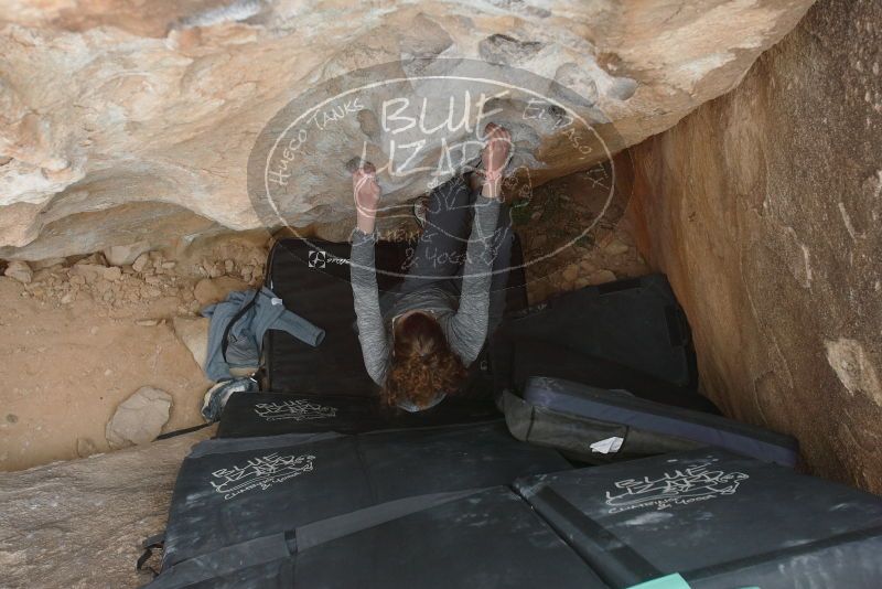 Bouldering in Hueco Tanks on 02/03/2019 with Blue Lizard Climbing and Yoga

Filename: SRM_20190203_1545460.jpg
Aperture: f/5.0
Shutter Speed: 1/250
Body: Canon EOS-1D Mark II
Lens: Canon EF 16-35mm f/2.8 L