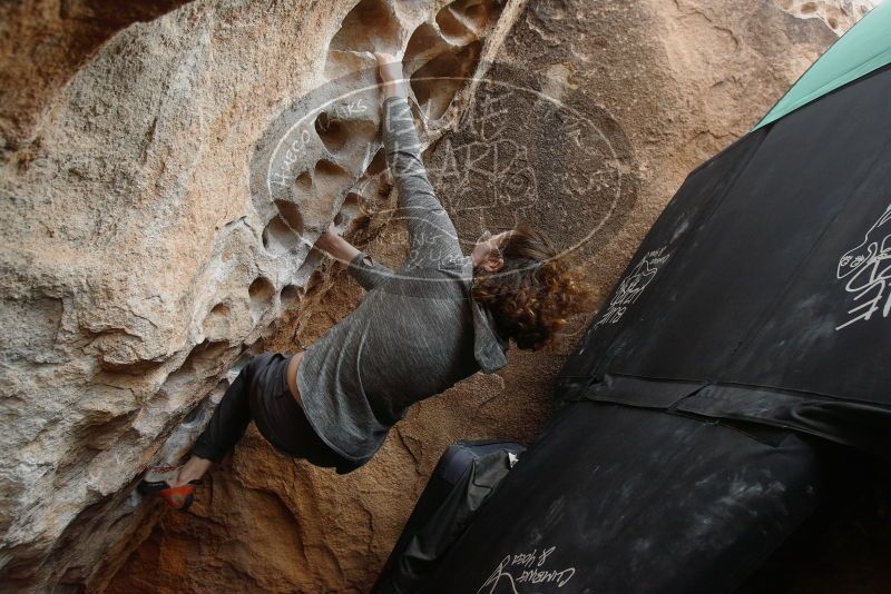 Bouldering in Hueco Tanks on 02/03/2019 with Blue Lizard Climbing and Yoga

Filename: SRM_20190203_1554320.jpg
Aperture: f/5.0
Shutter Speed: 1/250
Body: Canon EOS-1D Mark II
Lens: Canon EF 16-35mm f/2.8 L