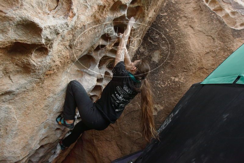 Bouldering in Hueco Tanks on 02/03/2019 with Blue Lizard Climbing and Yoga

Filename: SRM_20190203_1558100.jpg
Aperture: f/5.0
Shutter Speed: 1/320
Body: Canon EOS-1D Mark II
Lens: Canon EF 16-35mm f/2.8 L