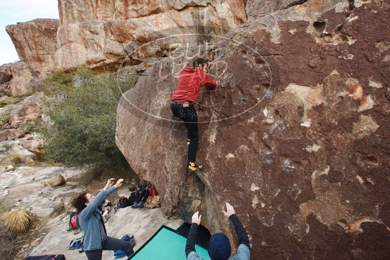 Bouldering in Hueco Tanks on 02/03/2019 with Blue Lizard Climbing and Yoga

Filename: SRM_20190203_1646110.jpg
Aperture: f/5.6
Shutter Speed: 1/250
Body: Canon EOS-1D Mark II
Lens: Canon EF 16-35mm f/2.8 L