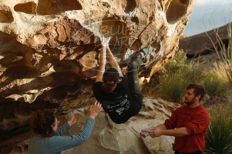 Bouldering in Hueco Tanks on 02/03/2019 with Blue Lizard Climbing and Yoga

Filename: SRM_20190203_1804390.jpg
Aperture: f/3.2
Shutter Speed: 1/500
Body: Canon EOS-1D Mark II
Lens: Canon EF 50mm f/1.8 II