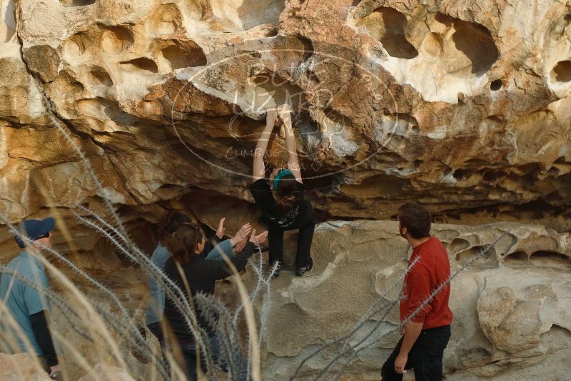 Bouldering in Hueco Tanks on 02/03/2019 with Blue Lizard Climbing and Yoga

Filename: SRM_20190203_1810110.jpg
Aperture: f/3.2
Shutter Speed: 1/320
Body: Canon EOS-1D Mark II
Lens: Canon EF 50mm f/1.8 II