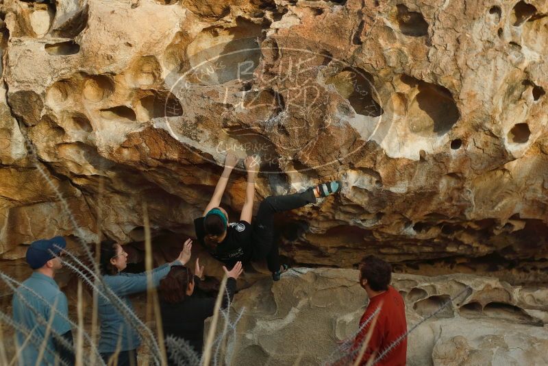 Bouldering in Hueco Tanks on 02/03/2019 with Blue Lizard Climbing and Yoga

Filename: SRM_20190203_1810190.jpg
Aperture: f/3.2
Shutter Speed: 1/400
Body: Canon EOS-1D Mark II
Lens: Canon EF 50mm f/1.8 II