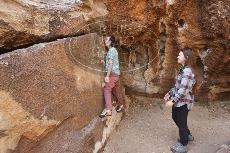 Bouldering in Hueco Tanks on 02/02/2019 with Blue Lizard Climbing and Yoga

Filename: SRM_20190202_1103090.jpg
Aperture: f/5.6
Shutter Speed: 1/200
Body: Canon EOS-1D Mark II
Lens: Canon EF 16-35mm f/2.8 L