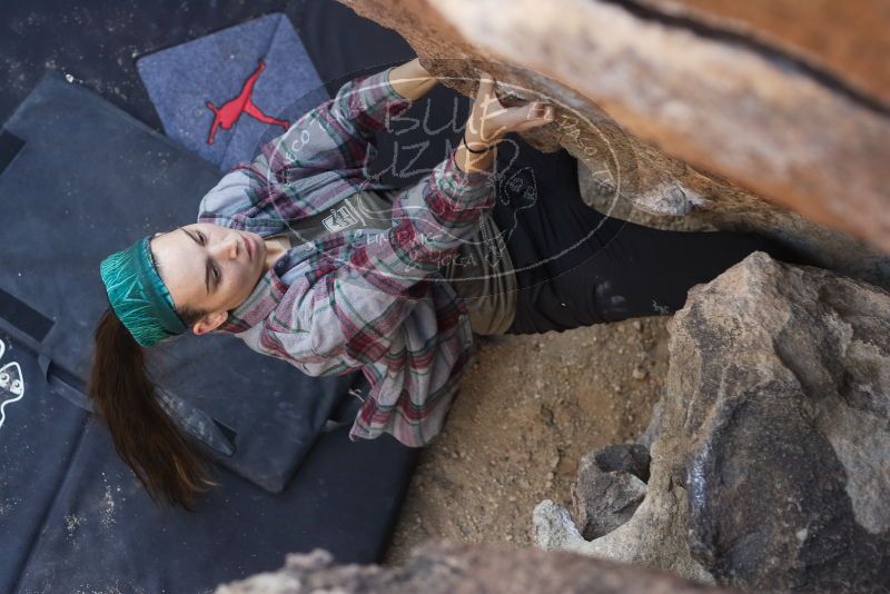 Bouldering in Hueco Tanks on 02/02/2019 with Blue Lizard Climbing and Yoga

Filename: SRM_20190202_1131390.jpg
Aperture: f/3.5
Shutter Speed: 1/320
Body: Canon EOS-1D Mark II
Lens: Canon EF 50mm f/1.8 II