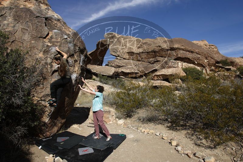 Bouldering in Hueco Tanks on 02/02/2019 with Blue Lizard Climbing and Yoga

Filename: SRM_20190202_1145370.jpg
Aperture: f/5.6
Shutter Speed: 1/320
Body: Canon EOS-1D Mark II
Lens: Canon EF 16-35mm f/2.8 L