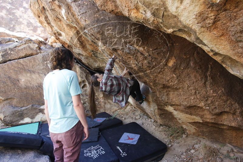 Bouldering in Hueco Tanks on 02/02/2019 with Blue Lizard Climbing and Yoga

Filename: SRM_20190202_1321190.jpg
Aperture: f/4.5
Shutter Speed: 1/200
Body: Canon EOS-1D Mark II
Lens: Canon EF 16-35mm f/2.8 L