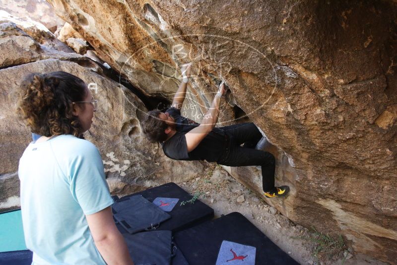 Bouldering in Hueco Tanks on 02/02/2019 with Blue Lizard Climbing and Yoga

Filename: SRM_20190202_1321560.jpg
Aperture: f/4.5
Shutter Speed: 1/200
Body: Canon EOS-1D Mark II
Lens: Canon EF 16-35mm f/2.8 L