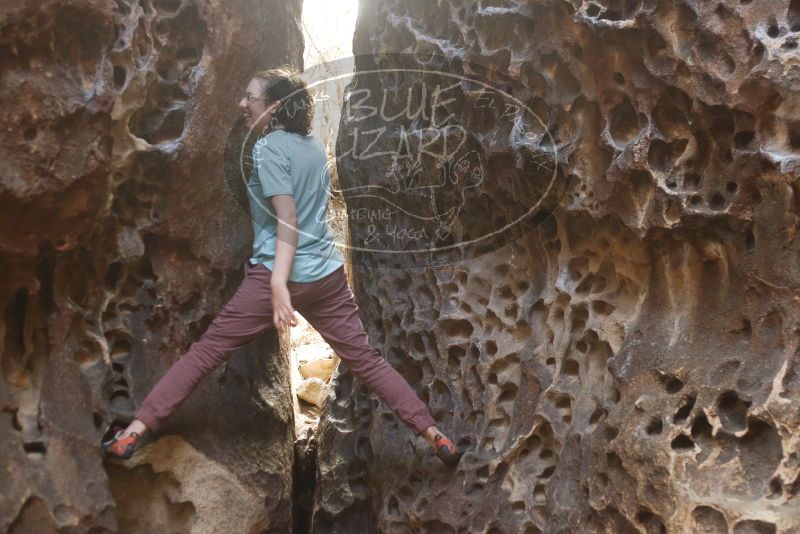 Bouldering in Hueco Tanks on 02/02/2019 with Blue Lizard Climbing and Yoga

Filename: SRM_20190202_1450190.jpg
Aperture: f/2.8
Shutter Speed: 1/160
Body: Canon EOS-1D Mark II
Lens: Canon EF 50mm f/1.8 II