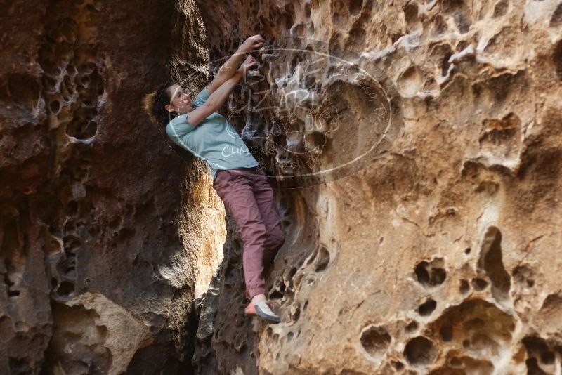 Bouldering in Hueco Tanks on 02/02/2019 with Blue Lizard Climbing and Yoga

Filename: SRM_20190202_1451150.jpg
Aperture: f/2.8
Shutter Speed: 1/160
Body: Canon EOS-1D Mark II
Lens: Canon EF 50mm f/1.8 II