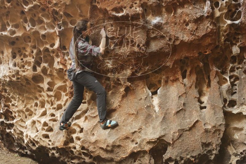 Bouldering in Hueco Tanks on 02/02/2019 with Blue Lizard Climbing and Yoga

Filename: SRM_20190202_1457210.jpg
Aperture: f/3.2
Shutter Speed: 1/100
Body: Canon EOS-1D Mark II
Lens: Canon EF 50mm f/1.8 II