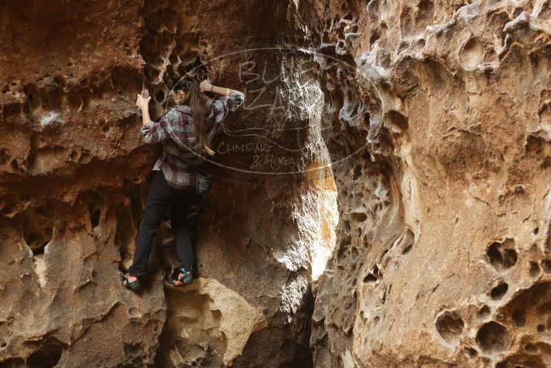 Bouldering in Hueco Tanks on 02/02/2019 with Blue Lizard Climbing and Yoga

Filename: SRM_20190202_1458050.jpg
Aperture: f/3.5
Shutter Speed: 1/125
Body: Canon EOS-1D Mark II
Lens: Canon EF 50mm f/1.8 II