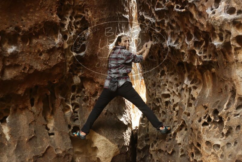 Bouldering in Hueco Tanks on 02/02/2019 with Blue Lizard Climbing and Yoga

Filename: SRM_20190202_1458180.jpg
Aperture: f/3.5
Shutter Speed: 1/200
Body: Canon EOS-1D Mark II
Lens: Canon EF 50mm f/1.8 II