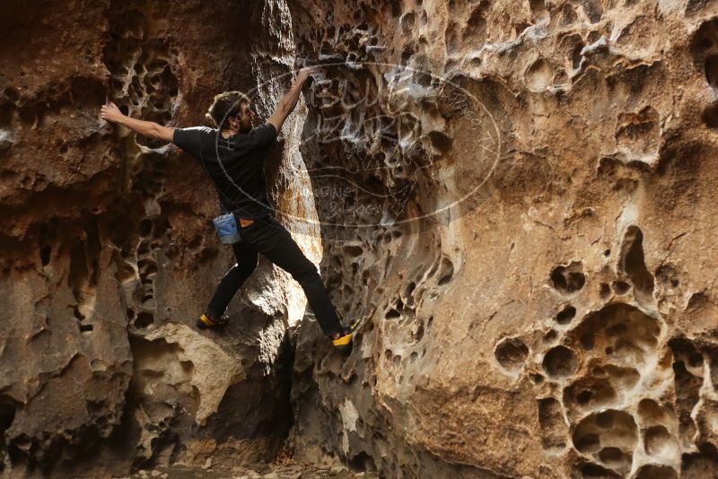 Bouldering in Hueco Tanks on 02/02/2019 with Blue Lizard Climbing and Yoga

Filename: SRM_20190202_1502360.jpg
Aperture: f/3.5
Shutter Speed: 1/160
Body: Canon EOS-1D Mark II
Lens: Canon EF 50mm f/1.8 II