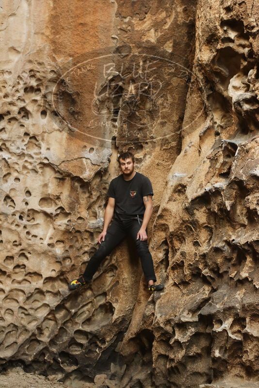 Bouldering in Hueco Tanks on 02/02/2019 with Blue Lizard Climbing and Yoga

Filename: SRM_20190202_1504420.jpg
Aperture: f/3.5
Shutter Speed: 1/200
Body: Canon EOS-1D Mark II
Lens: Canon EF 50mm f/1.8 II