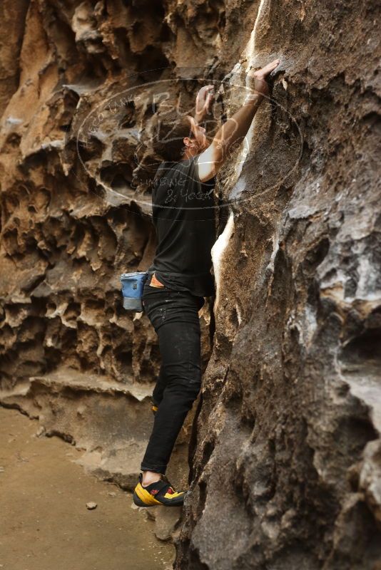 Bouldering in Hueco Tanks on 02/02/2019 with Blue Lizard Climbing and Yoga

Filename: SRM_20190202_1508050.jpg
Aperture: f/3.5
Shutter Speed: 1/200
Body: Canon EOS-1D Mark II
Lens: Canon EF 50mm f/1.8 II