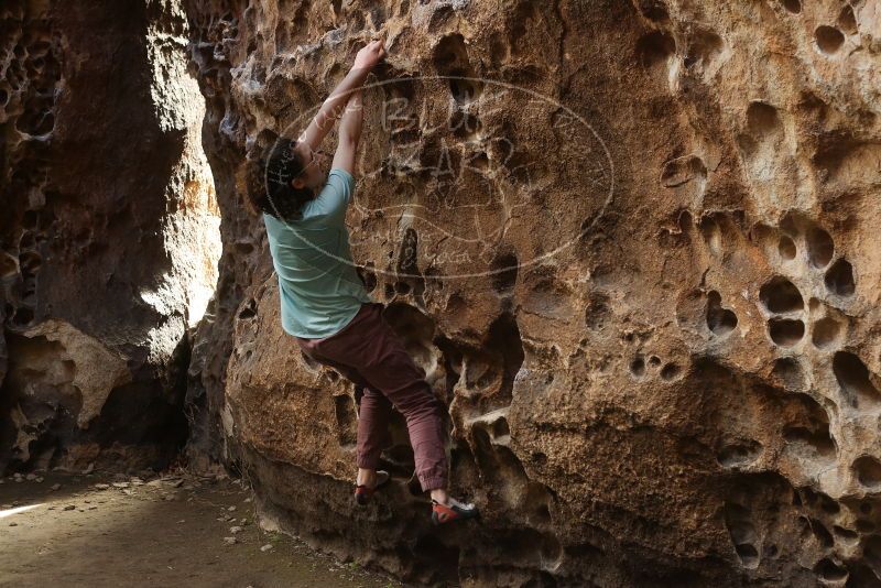 Bouldering in Hueco Tanks on 02/02/2019 with Blue Lizard Climbing and Yoga

Filename: SRM_20190202_1512500.jpg
Aperture: f/3.5
Shutter Speed: 1/160
Body: Canon EOS-1D Mark II
Lens: Canon EF 50mm f/1.8 II