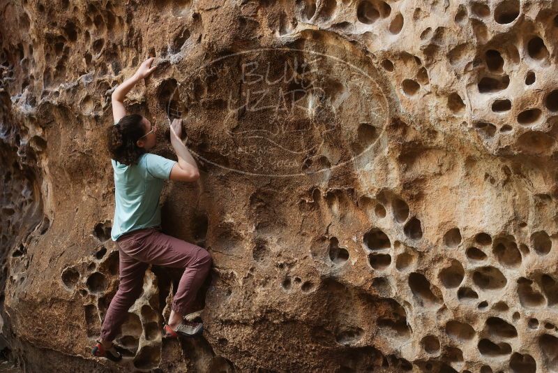 Bouldering in Hueco Tanks on 02/02/2019 with Blue Lizard Climbing and Yoga

Filename: SRM_20190202_1513020.jpg
Aperture: f/3.5
Shutter Speed: 1/160
Body: Canon EOS-1D Mark II
Lens: Canon EF 50mm f/1.8 II