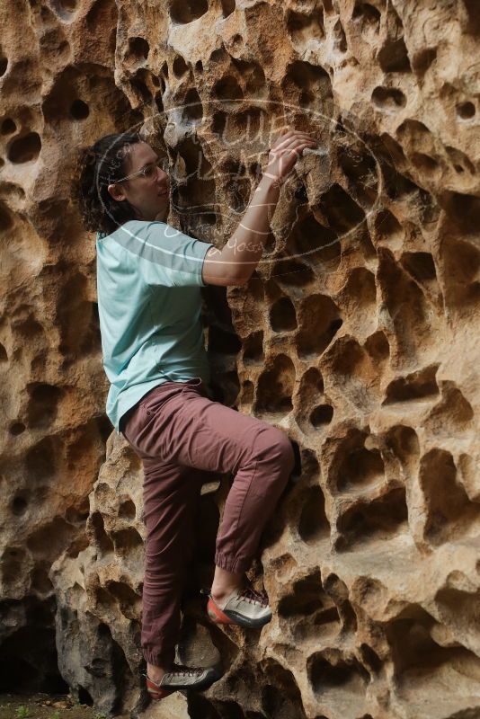 Bouldering in Hueco Tanks on 02/02/2019 with Blue Lizard Climbing and Yoga

Filename: SRM_20190202_1514070.jpg
Aperture: f/3.5
Shutter Speed: 1/250
Body: Canon EOS-1D Mark II
Lens: Canon EF 50mm f/1.8 II