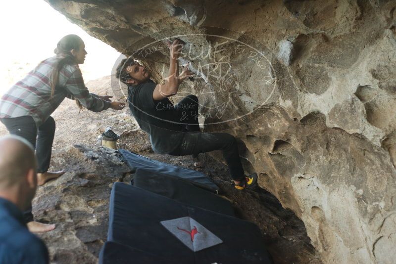 Bouldering in Hueco Tanks on 02/02/2019 with Blue Lizard Climbing and Yoga

Filename: SRM_20190202_1759260.jpg
Aperture: f/2.8
Shutter Speed: 1/500
Body: Canon EOS-1D Mark II
Lens: Canon EF 50mm f/1.8 II