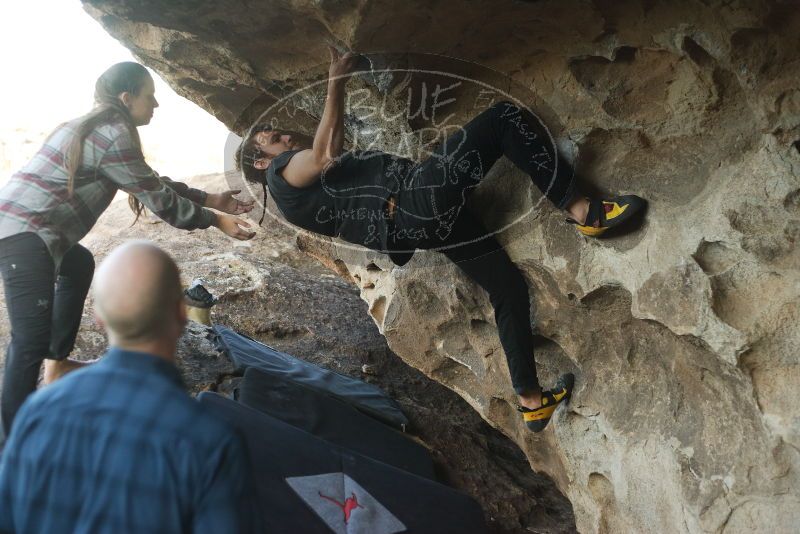 Bouldering in Hueco Tanks on 02/02/2019 with Blue Lizard Climbing and Yoga

Filename: SRM_20190202_1759320.jpg
Aperture: f/2.8
Shutter Speed: 1/500
Body: Canon EOS-1D Mark II
Lens: Canon EF 50mm f/1.8 II