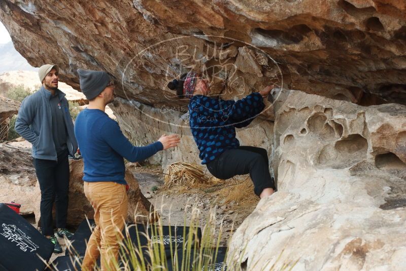 Bouldering in Hueco Tanks on 02/09/2019 with Blue Lizard Climbing and Yoga

Filename: SRM_20190209_1000410.jpg
Aperture: f/5.6
Shutter Speed: 1/320
Body: Canon EOS-1D Mark II
Lens: Canon EF 50mm f/1.8 II