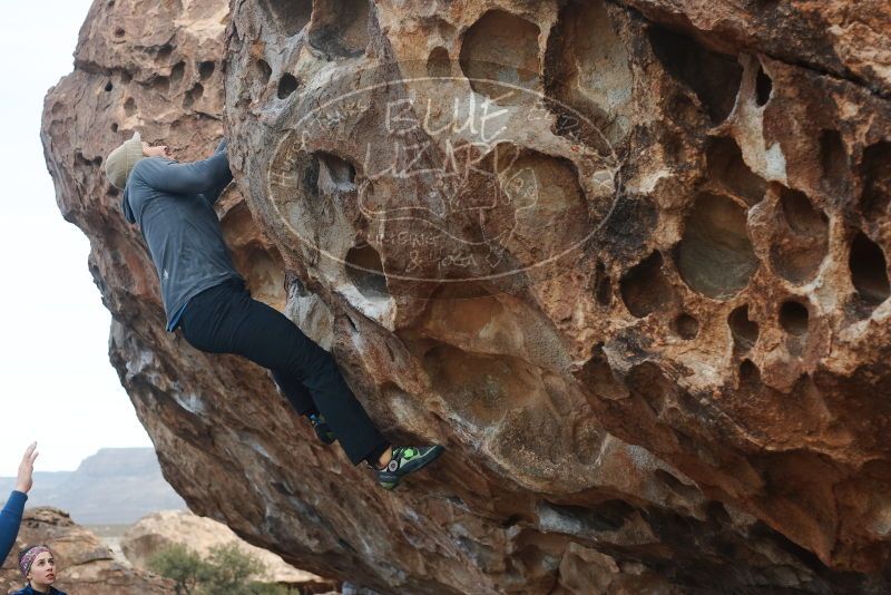 Bouldering in Hueco Tanks on 02/09/2019 with Blue Lizard Climbing and Yoga

Filename: SRM_20190209_1005470.jpg
Aperture: f/3.5
Shutter Speed: 1/640
Body: Canon EOS-1D Mark II
Lens: Canon EF 50mm f/1.8 II