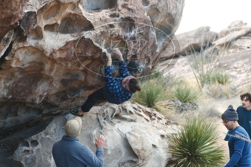 Bouldering in Hueco Tanks on 02/09/2019 with Blue Lizard Climbing and Yoga

Filename: SRM_20190209_1010290.jpg
Aperture: f/3.5
Shutter Speed: 1/320
Body: Canon EOS-1D Mark II
Lens: Canon EF 50mm f/1.8 II