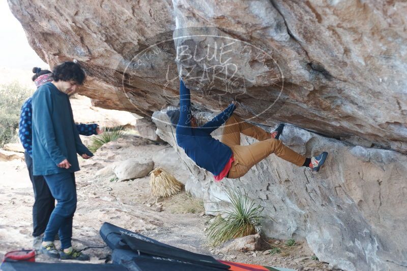 Bouldering in Hueco Tanks on 02/09/2019 with Blue Lizard Climbing and Yoga

Filename: SRM_20190209_1028030.jpg
Aperture: f/2.8
Shutter Speed: 1/250
Body: Canon EOS-1D Mark II
Lens: Canon EF 50mm f/1.8 II