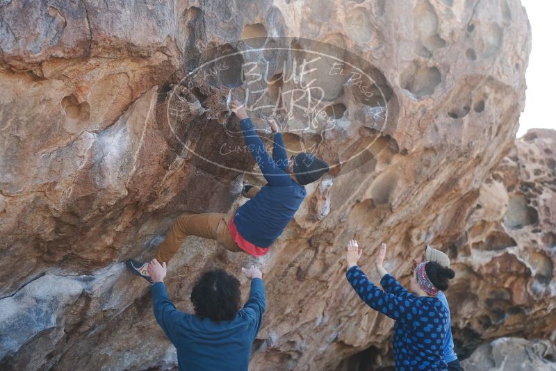 Bouldering in Hueco Tanks on 02/09/2019 with Blue Lizard Climbing and Yoga

Filename: SRM_20190209_1040490.jpg
Aperture: f/3.2
Shutter Speed: 1/1000
Body: Canon EOS-1D Mark II
Lens: Canon EF 50mm f/1.8 II