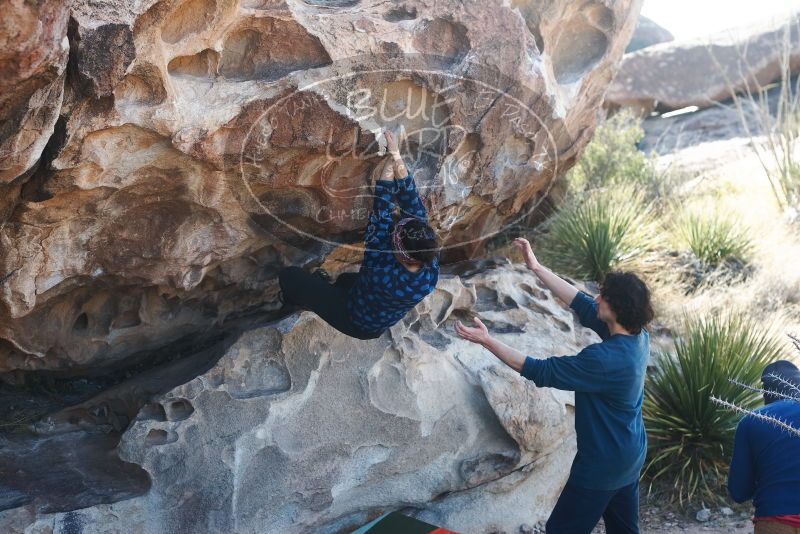 Bouldering in Hueco Tanks on 02/09/2019 with Blue Lizard Climbing and Yoga

Filename: SRM_20190209_1103500.jpg
Aperture: f/4.0
Shutter Speed: 1/400
Body: Canon EOS-1D Mark II
Lens: Canon EF 50mm f/1.8 II