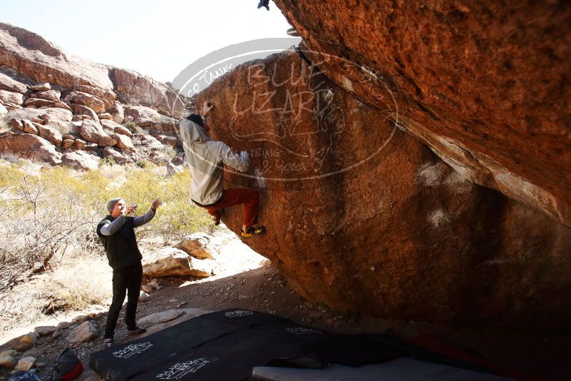 Bouldering in Hueco Tanks on 02/17/2019 with Blue Lizard Climbing and Yoga

Filename: SRM_20190217_1145190.jpg
Aperture: f/5.6
Shutter Speed: 1/400
Body: Canon EOS-1D Mark II
Lens: Canon EF 16-35mm f/2.8 L