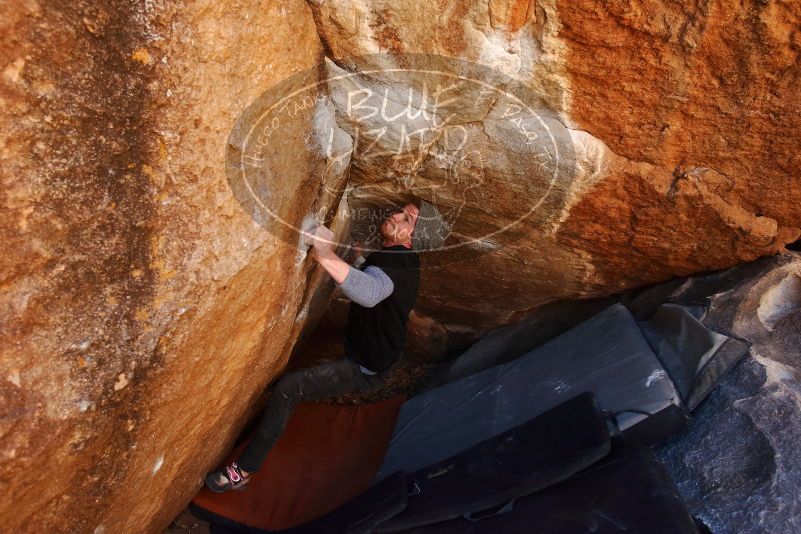 Bouldering in Hueco Tanks on 02/17/2019 with Blue Lizard Climbing and Yoga

Filename: SRM_20190217_1215590.jpg
Aperture: f/4.5
Shutter Speed: 1/400
Body: Canon EOS-1D Mark II
Lens: Canon EF 16-35mm f/2.8 L